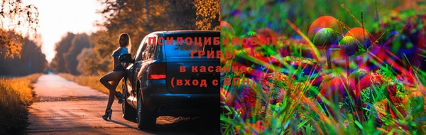 дистиллят марихуана Алексеевка