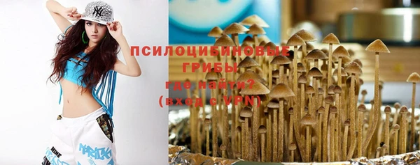 ALPHA-PVP Алексин