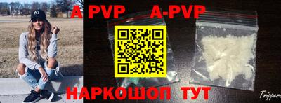 тгк Новозыбков