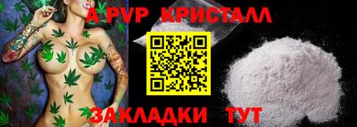 тгк Новозыбков
