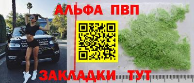 тгк Новозыбков
