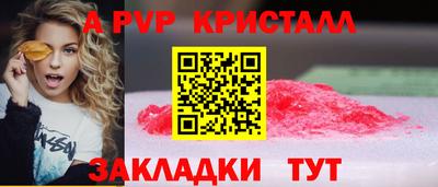 тгк Новозыбков
