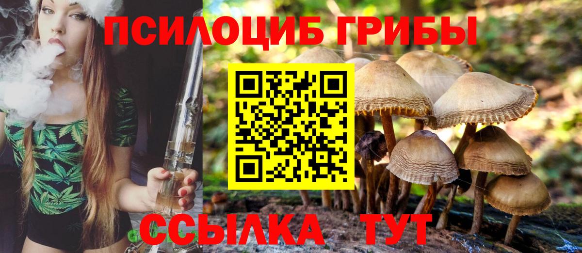 наркота  Галлюциногенные грибы GOLDEN TEACHER  Галлюциногенные грибы Magic Shrooms  Вход с VPN  Сокол 