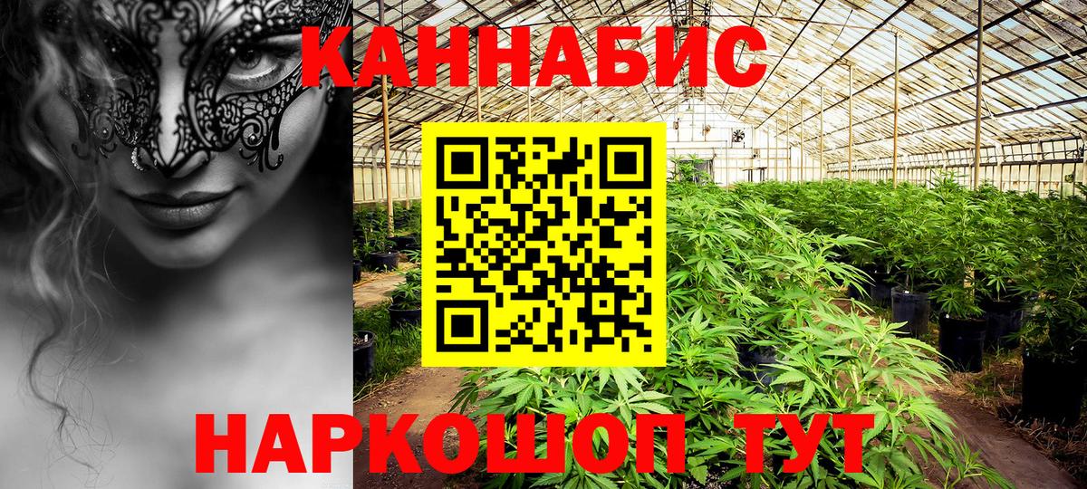 МАРИХУАНА семена  Вход с VPN  Сокол  Канабис Amnesia 